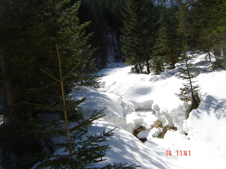 Kredarica, Triglav (14.3.14) - foto povečava