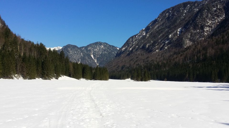 Kredarica, Triglav (14.3.14) - foto povečava