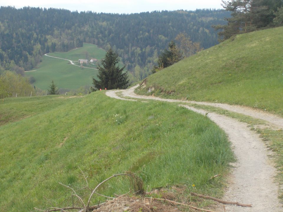 Škofjeloški polmaraton ( 19.4.14 ) - foto povečava