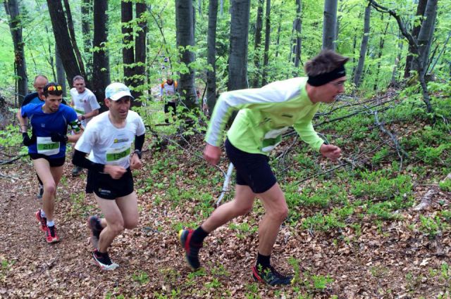 Škofjeloški polmaraton ( 19.4.14 ) - foto