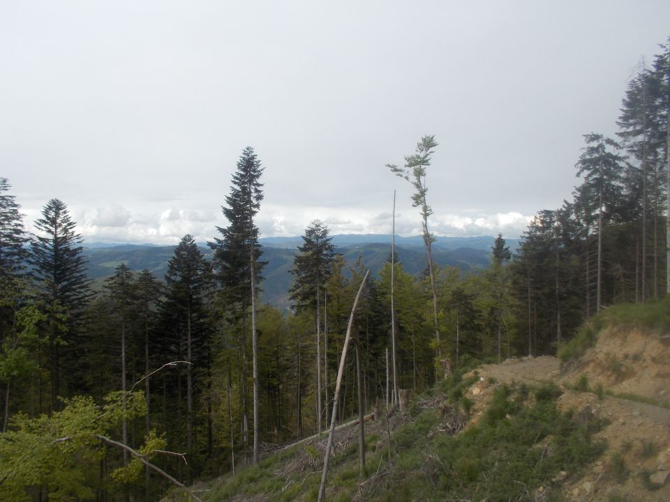 5. Tek na Blegoš in nazaj (17.5.14 ) - foto povečava