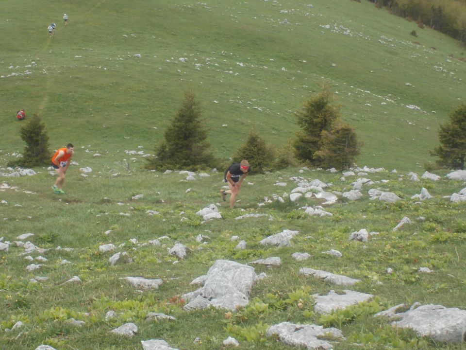 5. Tek na Blegoš in nazaj (17.5.14 ) - foto povečava