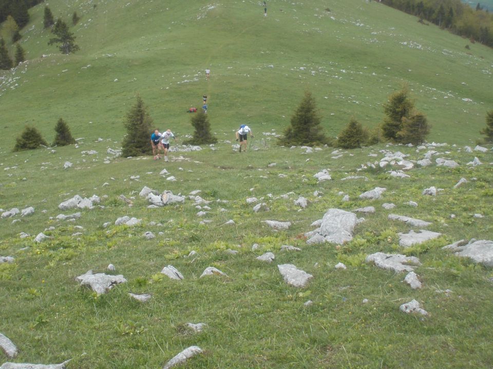 5. Tek na Blegoš in nazaj (17.5.14 ) - foto povečava