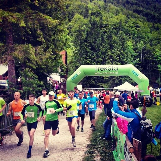 2. Treksta polmaraton Logarska ( 1.6.14 ) - foto