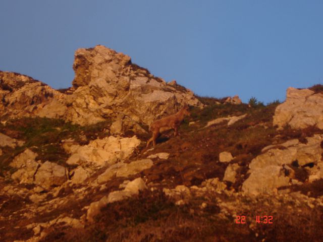 Po Bambergovi na Triglav (22.6.14) - foto