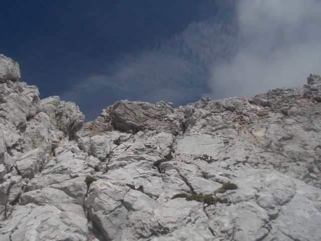 Trening za avgustovski extrem ( 5.7.14 ) - foto