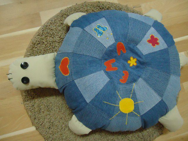 želva ema - foto povečava