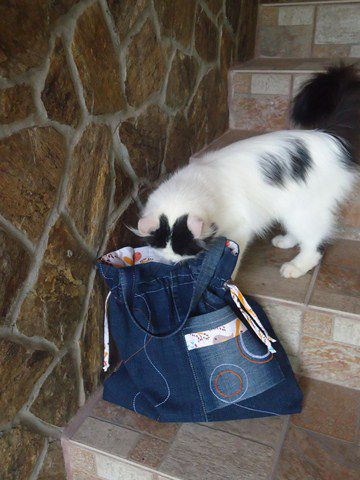 Radovednost pa taka - foto povečava