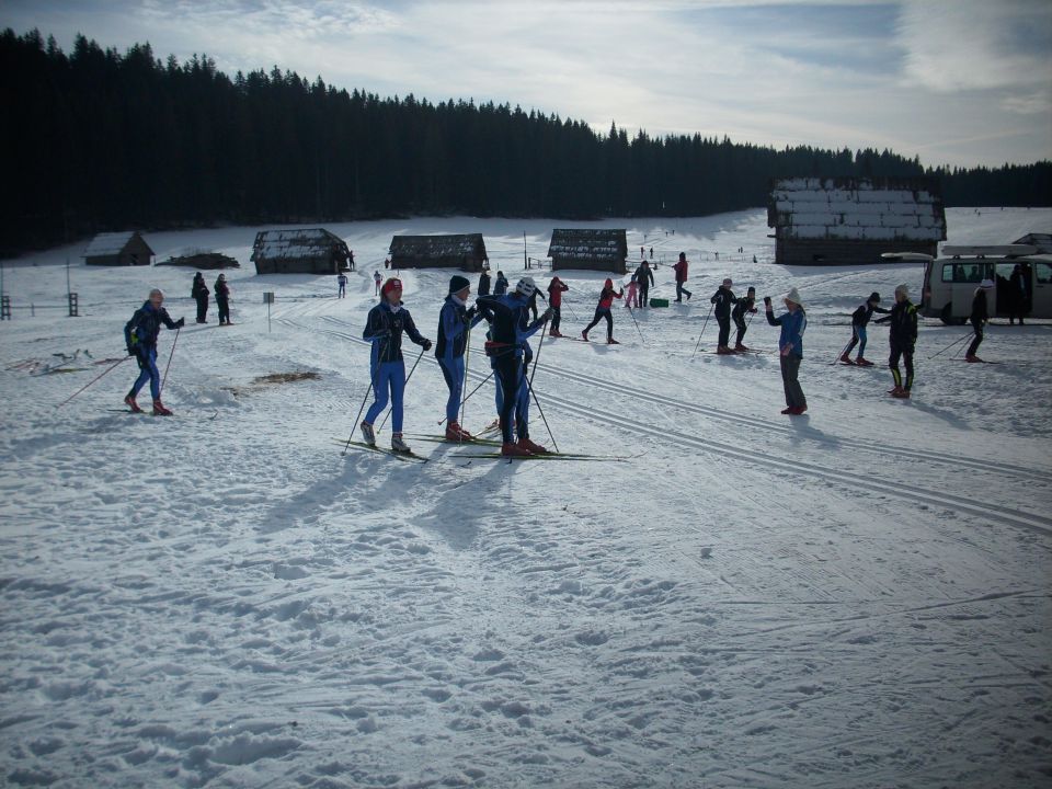 Planina Javornik 28.1.2012 - foto povečava