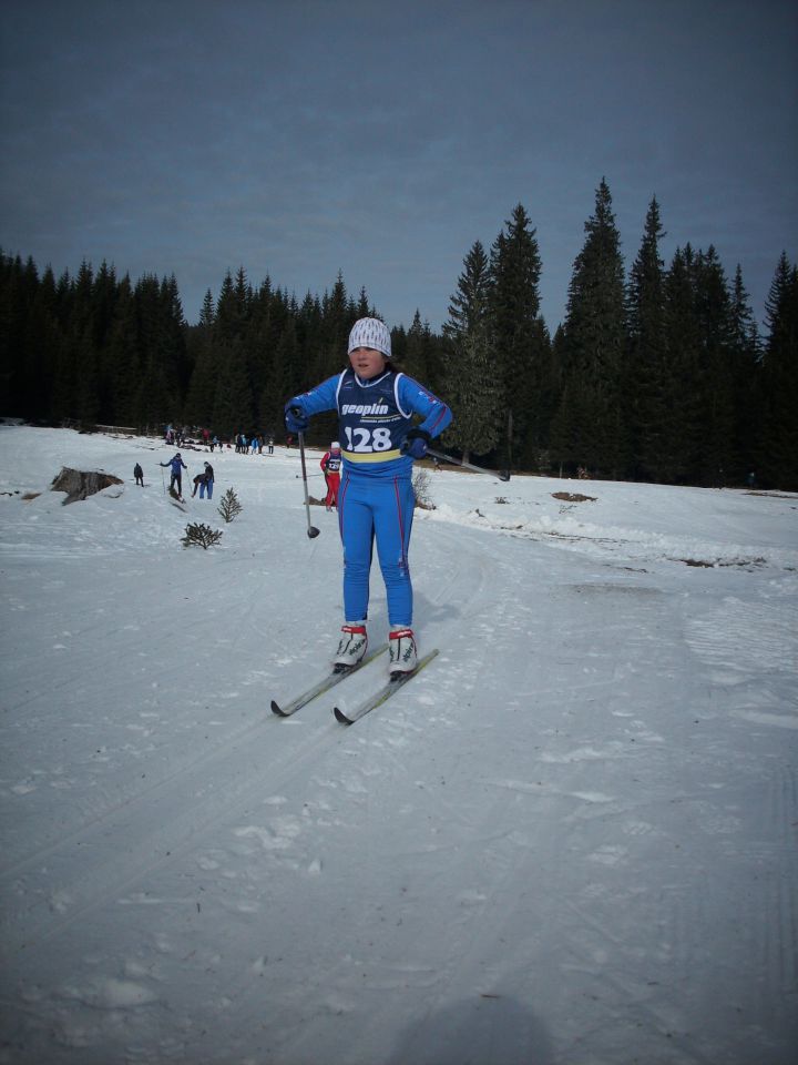 Planina Javornik 28.1.2012 - foto povečava