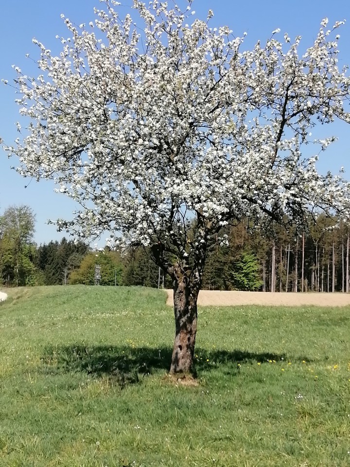 Za duso - foto povečava