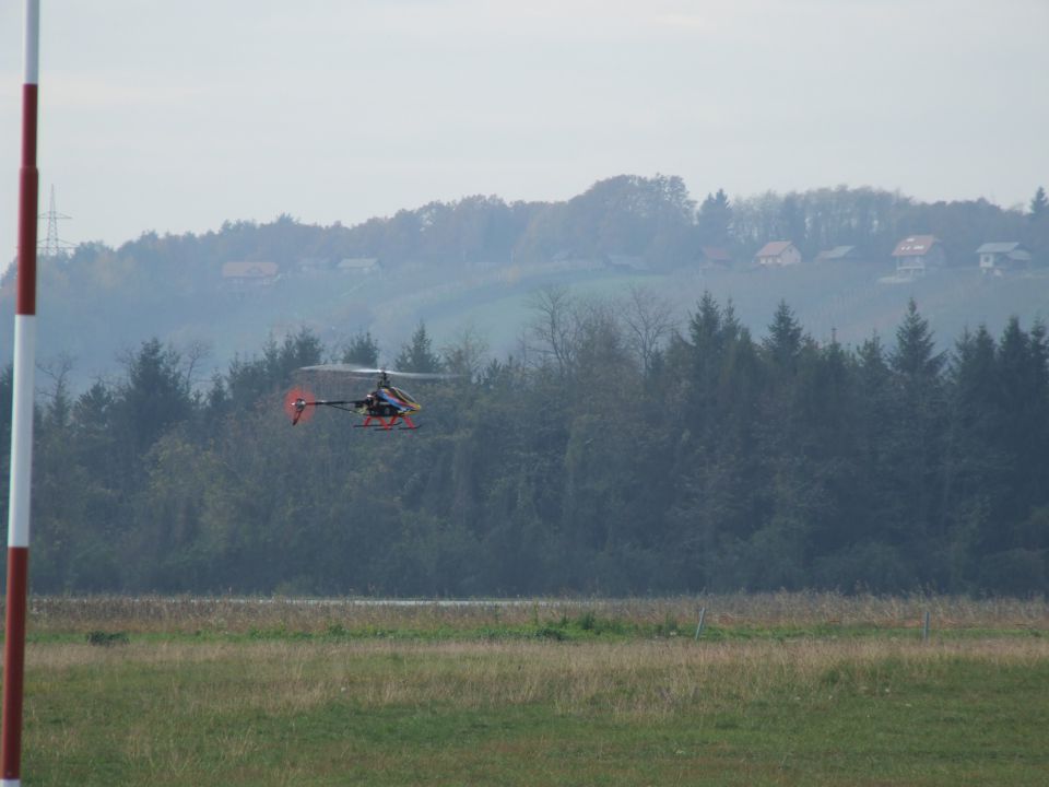 Zadovinek 10. 11. 2012 - foto povečava