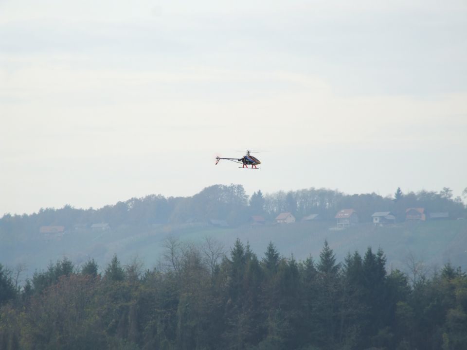 Zadovinek 10. 11. 2012 - foto povečava