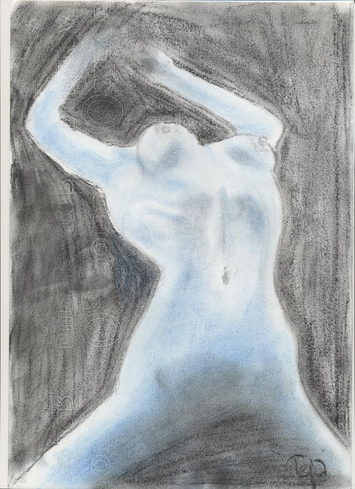 Freedom (pastel + charcoal)