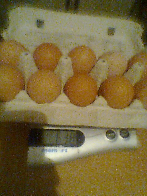 Jajca teža 10 jajc
