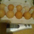 jajca teža 10 jajc