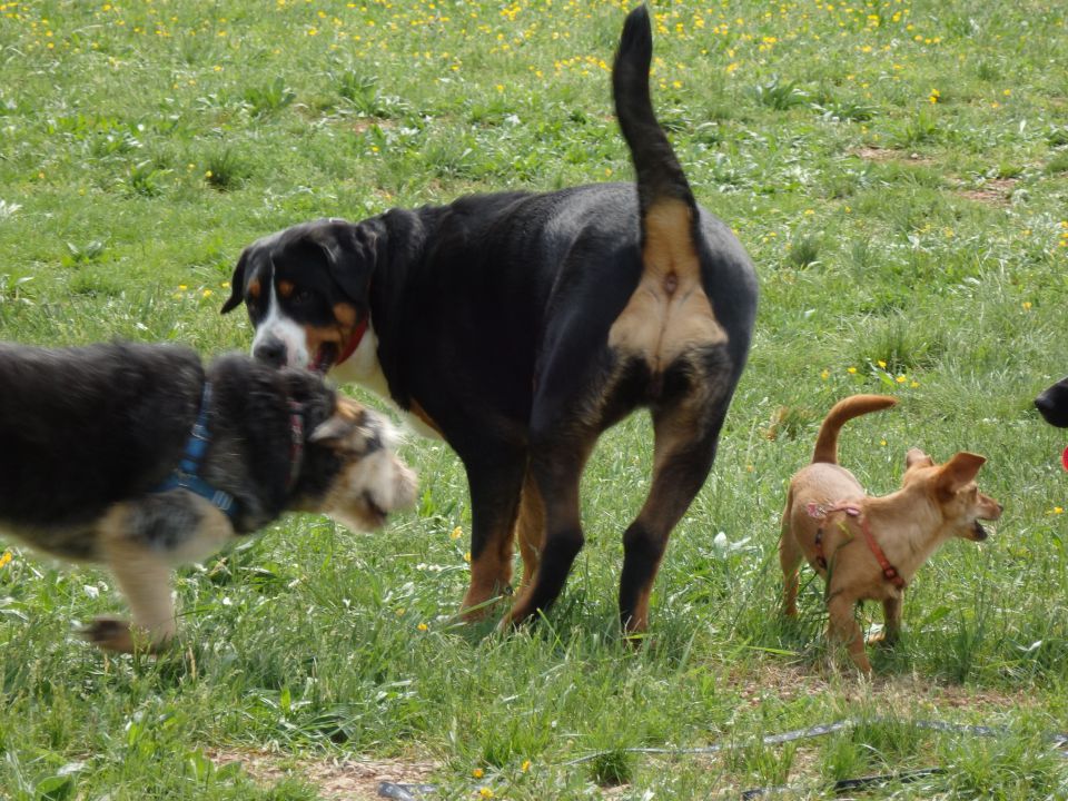 LoUski Siminar, 5.5.2013 - foto povečava