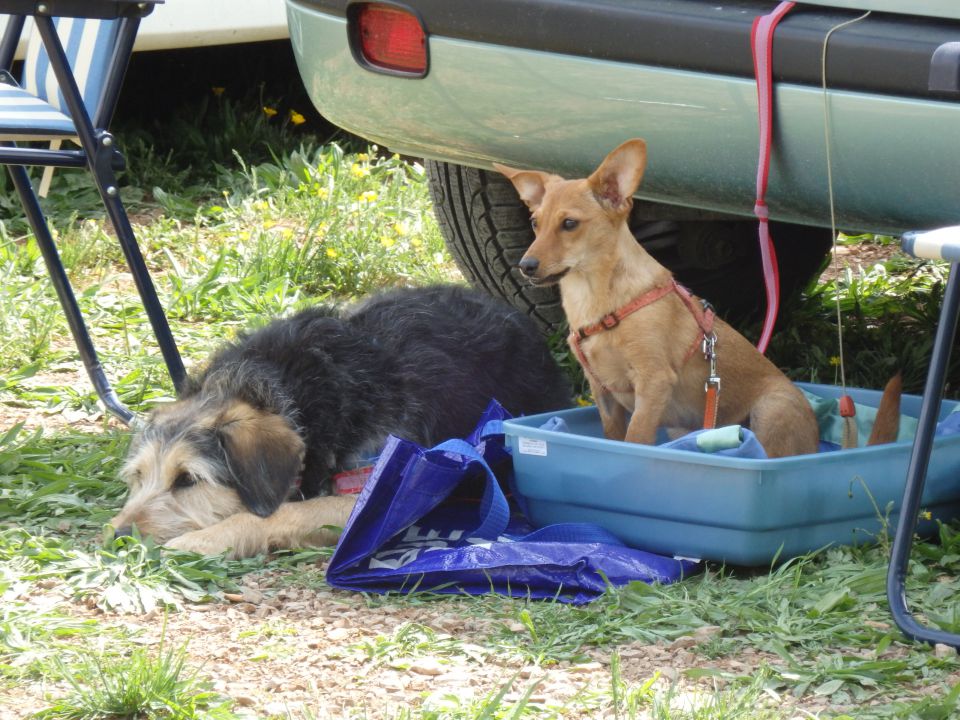 LoUski Siminar, 5.5.2013 - foto povečava