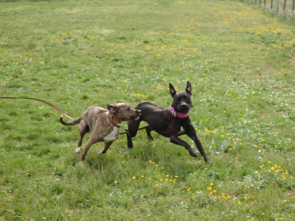 LoUski Siminar, 5.5.2013 - foto povečava