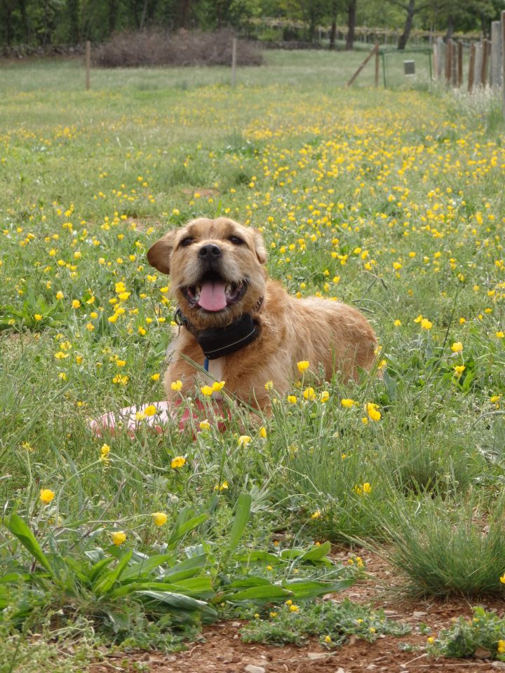 LoUski Siminar, 5.5.2013 - foto povečava