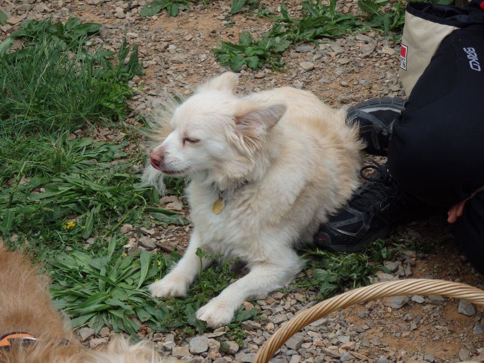 LoUski Siminar, 5.5.2013 - foto povečava