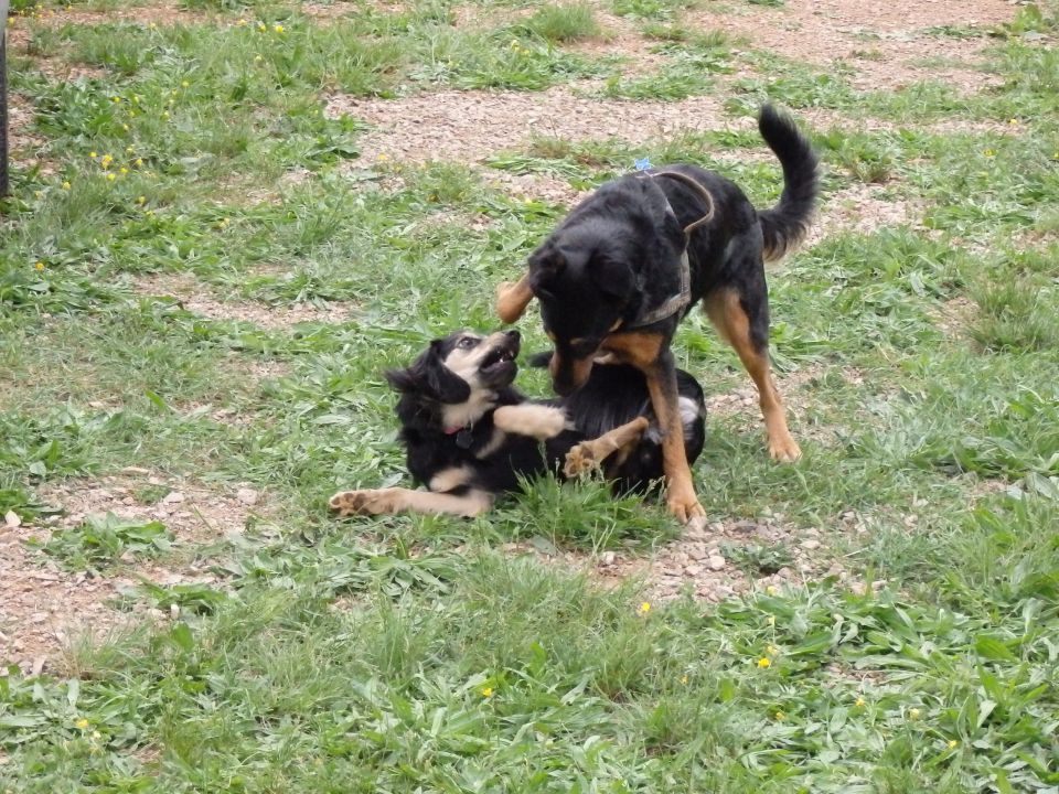 LoUski Siminar, 5.5.2013 - foto povečava