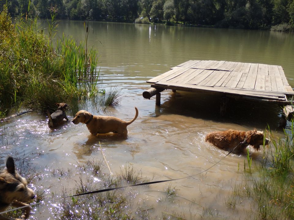 Prvi šolski dan, mengeško jezero - 12.9.2015 - foto povečava