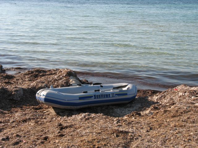 Dopust 2012 - foto