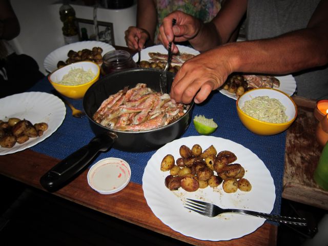 Dopust 2014 - foto