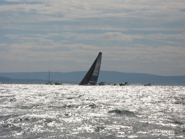 Barcolana 2016 - foto