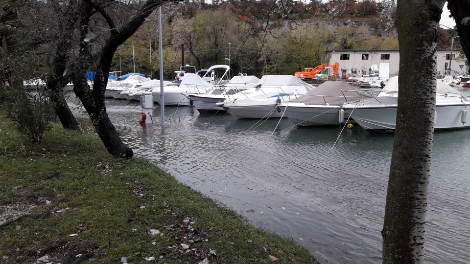 Maxi  - foto povečava