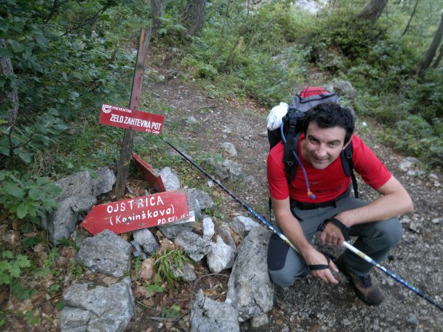 Kopinškova pot (Ojstrica) 7.9.2013 - foto