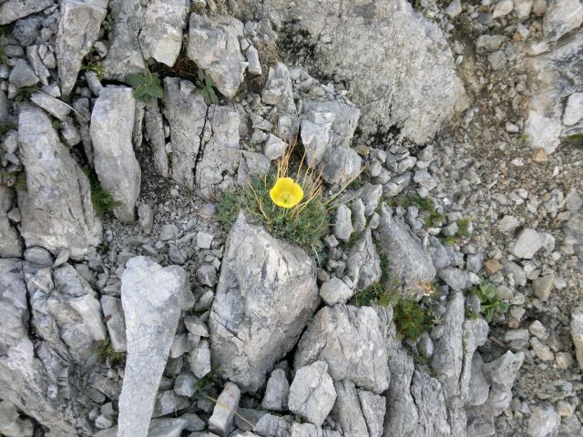 Kopinškova pot (Ojstrica) 7.9.2013 - foto