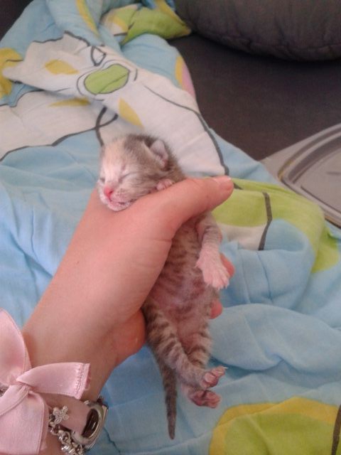 Bibi in Mimi - foto