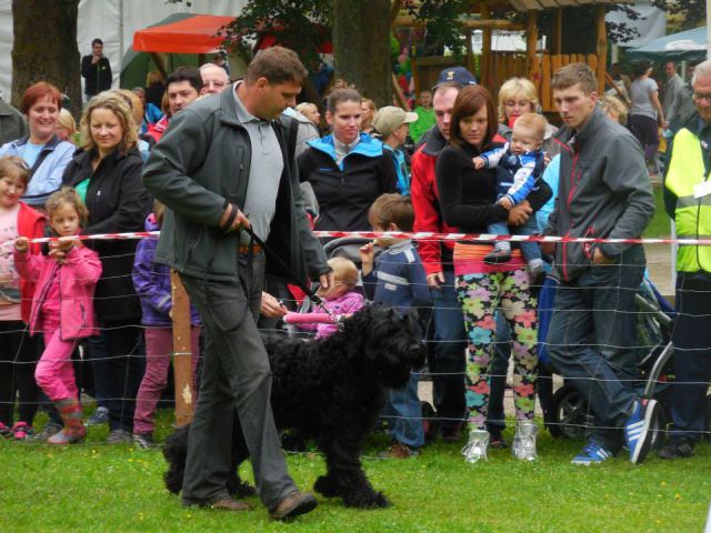 Metuljev dan, Topolšica, junij 2014 - foto