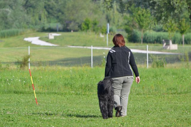 Izpiti - kd velenje - junij 2014 - foto