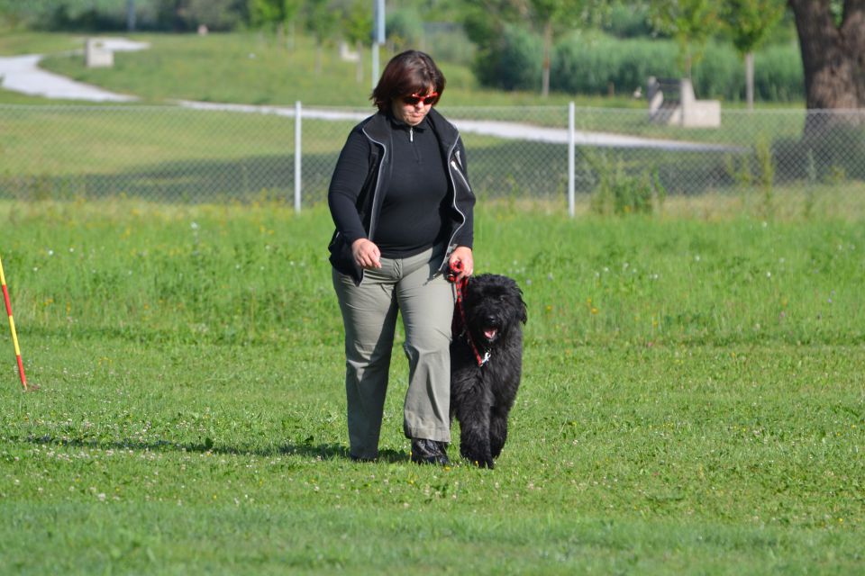 Izpiti - kd velenje - junij 2014 - foto povečava