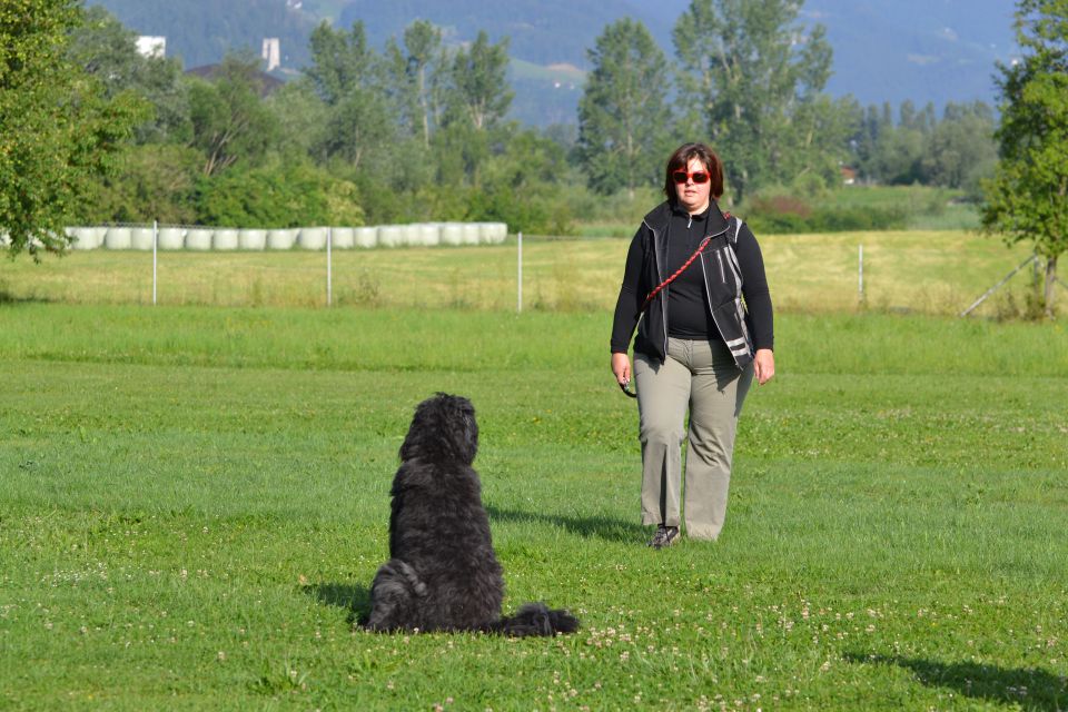 Izpiti - kd velenje - junij 2014 - foto povečava