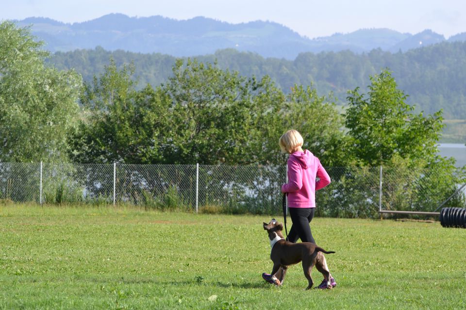 Izpiti - kd velenje - junij 2014 - foto povečava