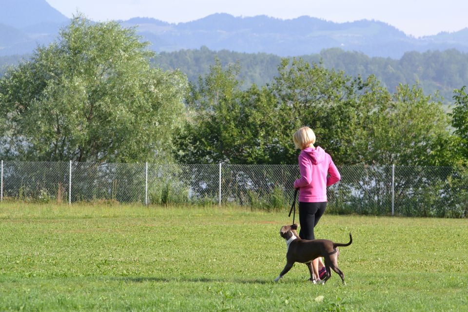 Izpiti - kd velenje - junij 2014 - foto povečava