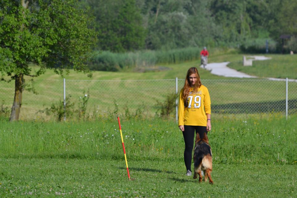 Izpiti - kd velenje - junij 2014 - foto povečava