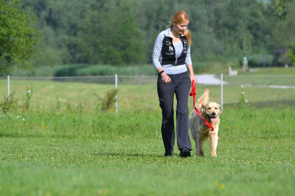 Izpiti - kd velenje - junij 2014 - foto povečava