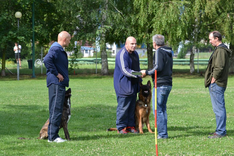 Izpiti - kd velenje - junij 2014 - foto povečava