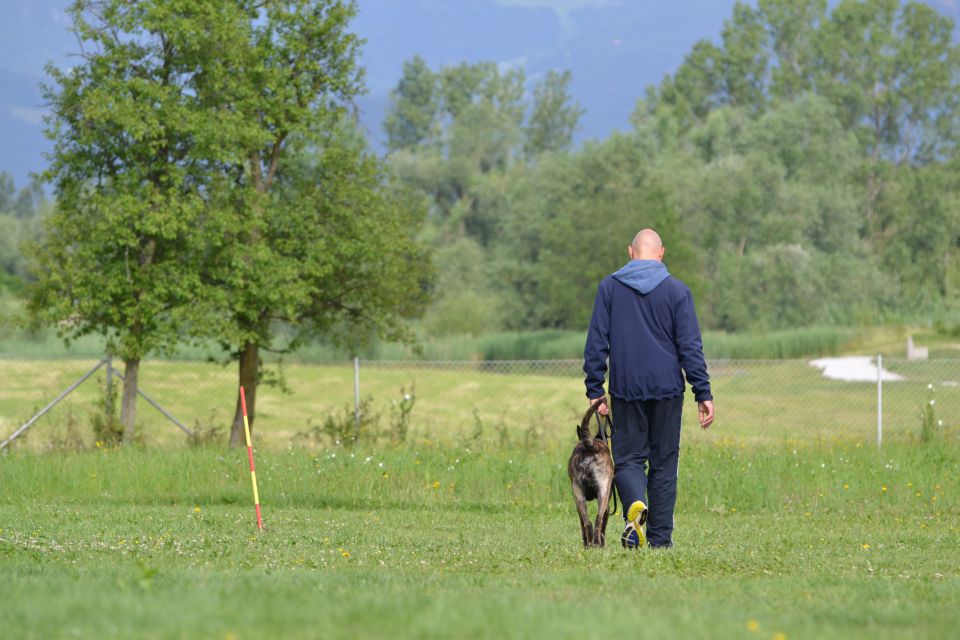 Izpiti - kd velenje - junij 2014 - foto povečava