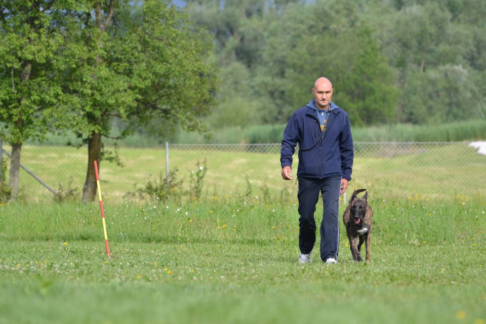 Izpiti - kd velenje - junij 2014 - foto povečava