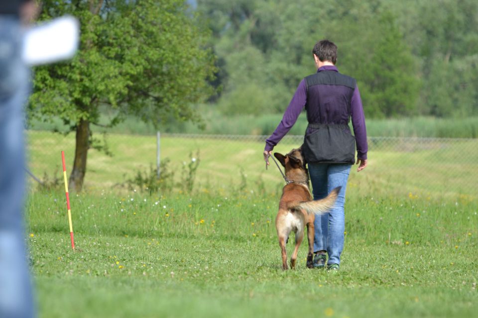 Izpiti - kd velenje - junij 2014 - foto povečava