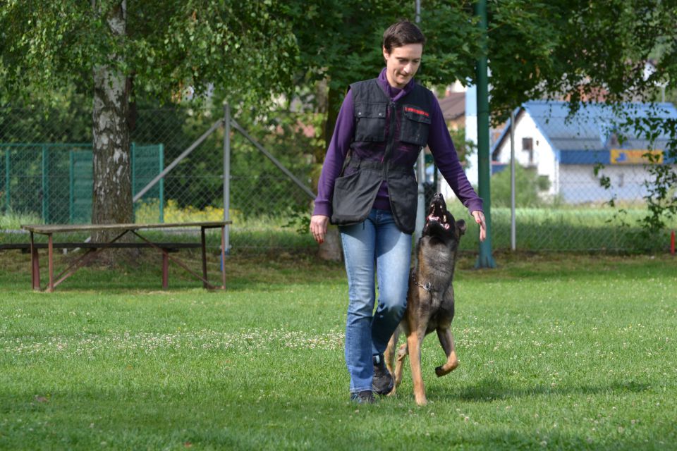 Izpiti - kd velenje - junij 2014 - foto povečava