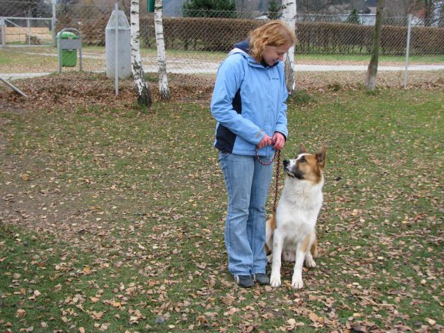 Izpiti - kd velenje - november 2007 - foto