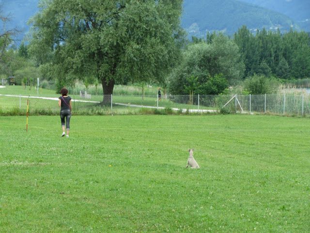 Izpiti - kd velenje - junij 2012 - foto povečava