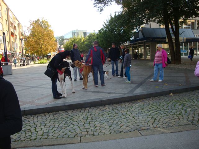 Predstavitev kd velenje, september 2012 - foto